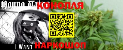 Альфа ПВП Гатчина