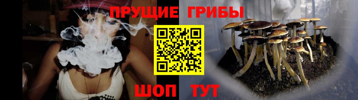 Галлюциногенные грибы мицелий  Вход с VPN  Галлюциногенные грибы Magic Shrooms  Гагарин 